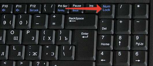 Как включить клавиатуру на ноутбуке: все проще, чем кажется