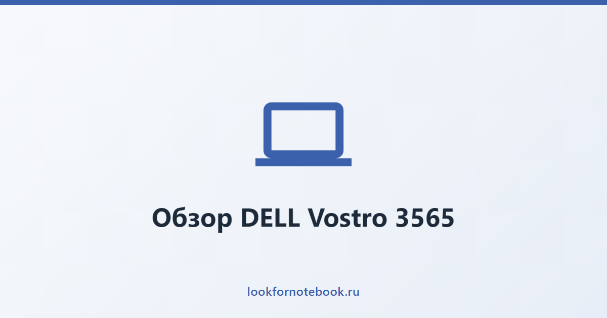 Обзор DELL Vostro 3565